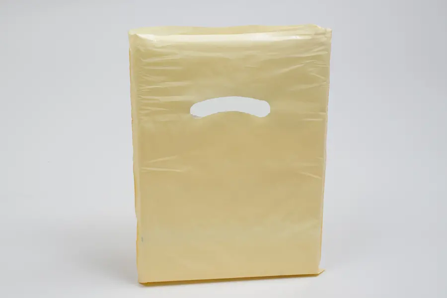 <9X12 IVORY GLOSS PLASTIC BAGS