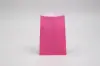 6.25 X 9.25 PAPER MERCH BAG - WILD ROSE